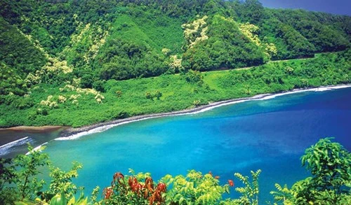 Bốn cung đường đẹp nhất nước Mỹ ảnh 2