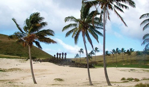 Một ngày trên đảo Phục Sinh ảnh 1