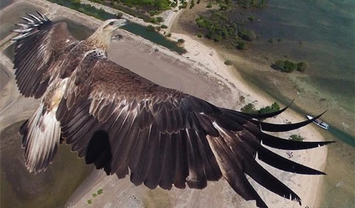 Thế giới tuyệt vời nhìn từ không trung ảnh 1