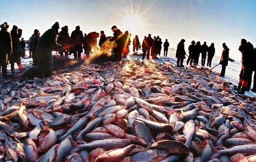 china-fish-industry-china-whis-6235-7744