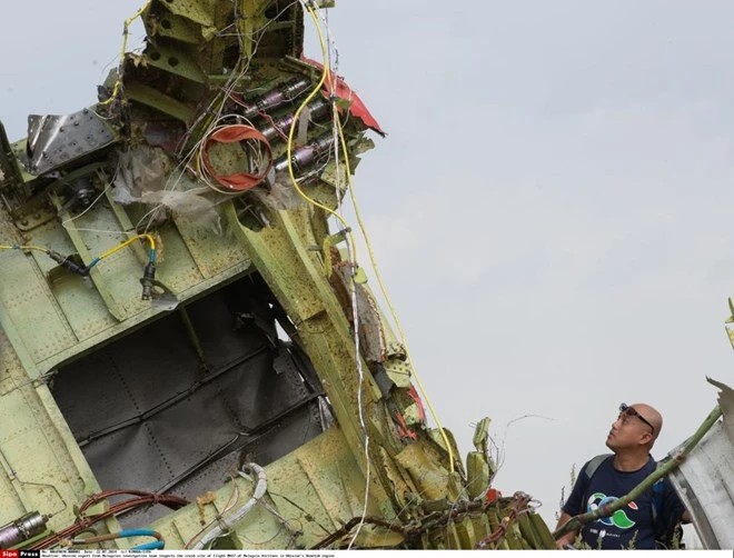 Những hình ảnh chứng minh MH17 đã bị bắn bằng tên lửa ảnh 8