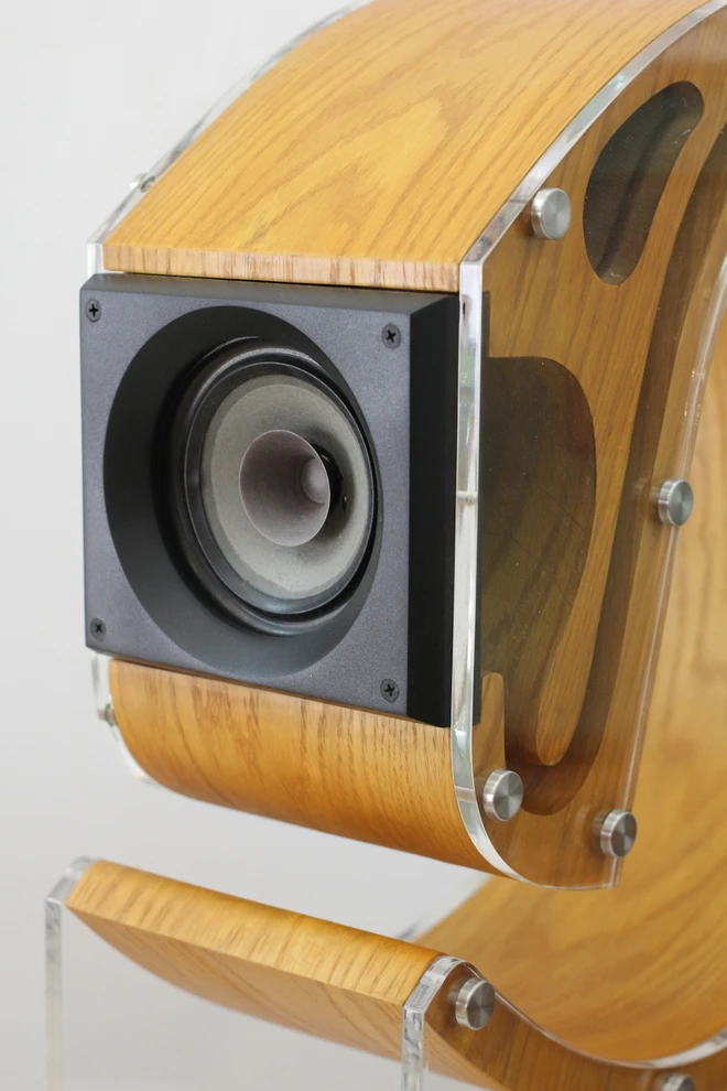 Loa kèn dáng lạ của dân chơi âm thanh Hà Nội ảnh 2