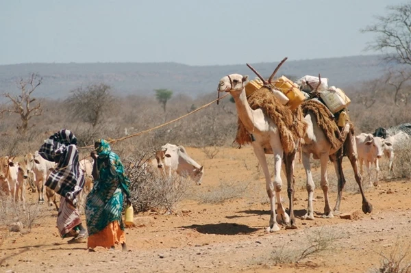 Những đất nước không chào đón khách du lịch ảnh 2