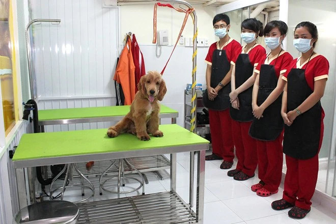 Bên trong khách sạn 5 sao cho thú cưng độc nhất Việt Nam (6)
