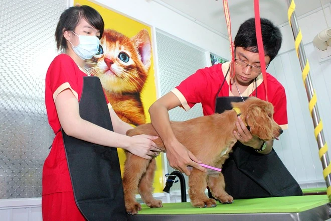 Bên trong khách sạn 5 sao cho thú cưng độc nhất Việt Nam (7)