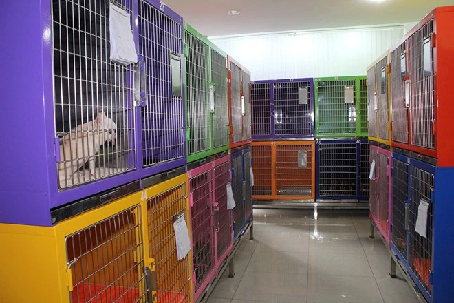 Bên trong khách sạn 5 sao cho thú cưng độc nhất Việt Nam (2)