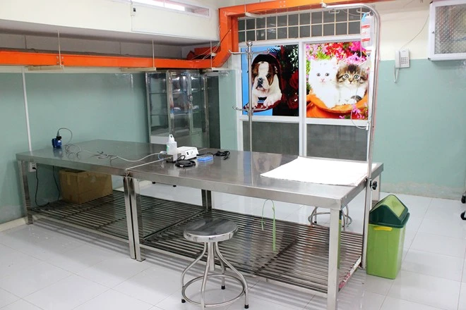 Bên trong khách sạn 5 sao cho thú cưng độc nhất Việt Nam (14)