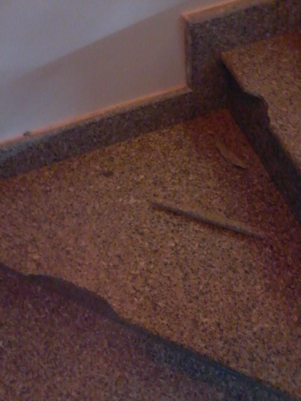 Trộm "hành nghề" giữa trưa cuỗm đi két sắt với 600 triệu đồng ảnh 1