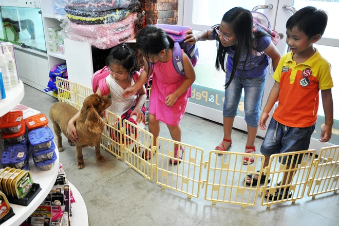 Spa cho cún yêu ở Hà Nội ảnh 9