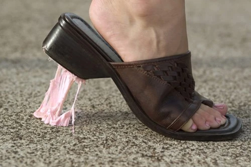 9 món ăn bị cấm trên thế giới ảnh 3