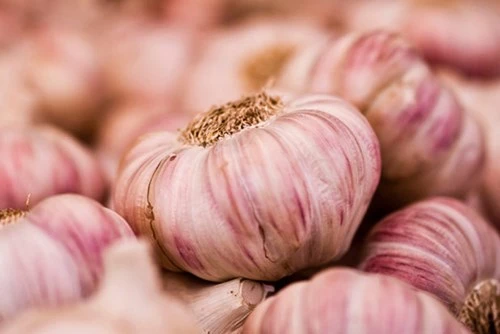 9 món ăn bị cấm trên thế giới ảnh 9