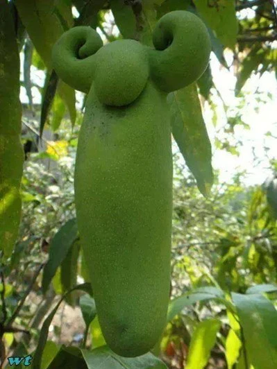 Ảnh vui tuần này ảnh 4