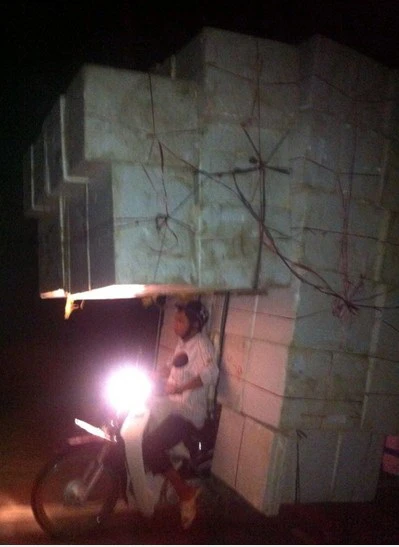 Ảnh vui tuần này ảnh 2