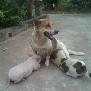 Ảnh vui đời sinh viên ảnh 10