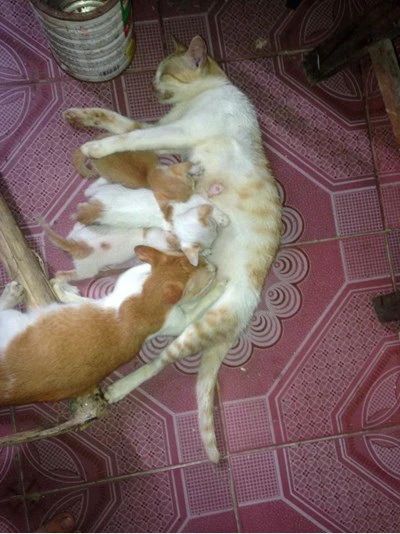 Ảnh vui đời sinh viên ảnh 9