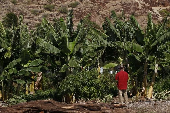 Tổng thống Obama được bảo vệ ở mức nào? ảnh 13