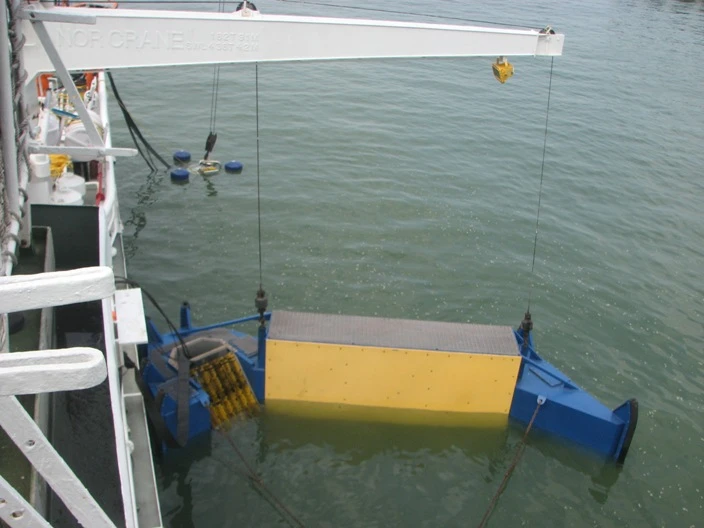 Cảnh sát biển Việt Nam - Ấn Độ diễn tập cứu nạn trên biển ảnh 1