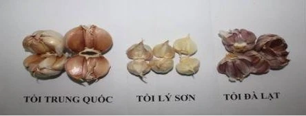 Hình dạng bên trong