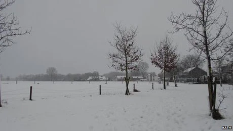 Tuyết rơi trắng xóa thành phố Roosendaal của Hà Lan.