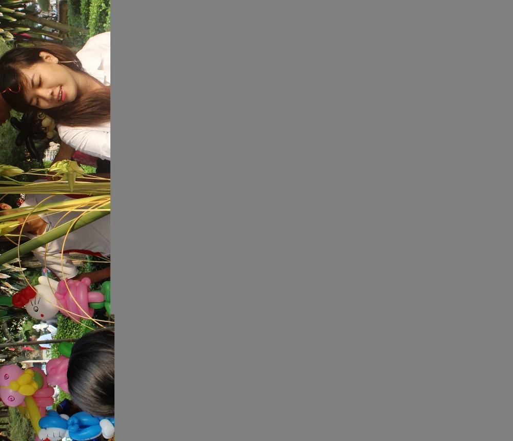 Cần Thơ tưng bừng khai hội “sắc xuân miệt vườn” ảnh 11