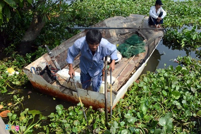 Bất lực nhìn cá chép bị chích điện khi vừa thả
