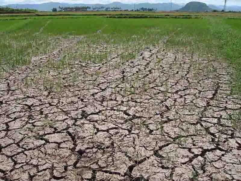 Hãy cứu dòng sông Ba ảnh 15