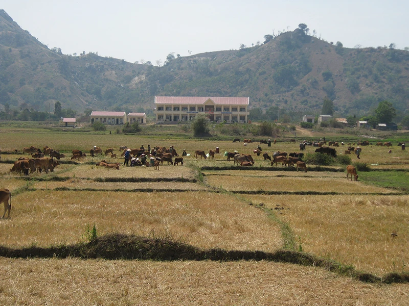 Hãy cứu dòng sông Ba ảnh 16