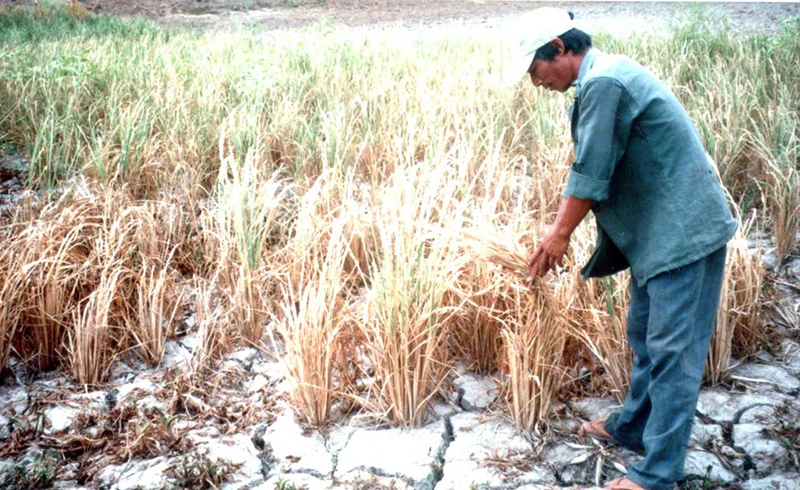 Hãy cứu dòng sông Ba ảnh 17