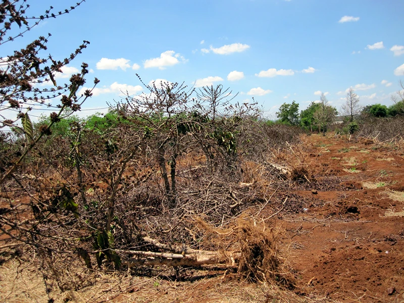 Hãy cứu dòng sông Ba ảnh 18