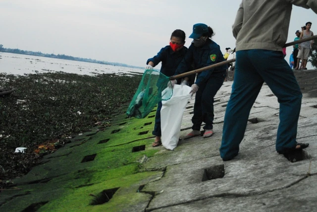 Chùm ảnh: Dân quân thu gom cá biển chết dạt vào bờ ảnh 5