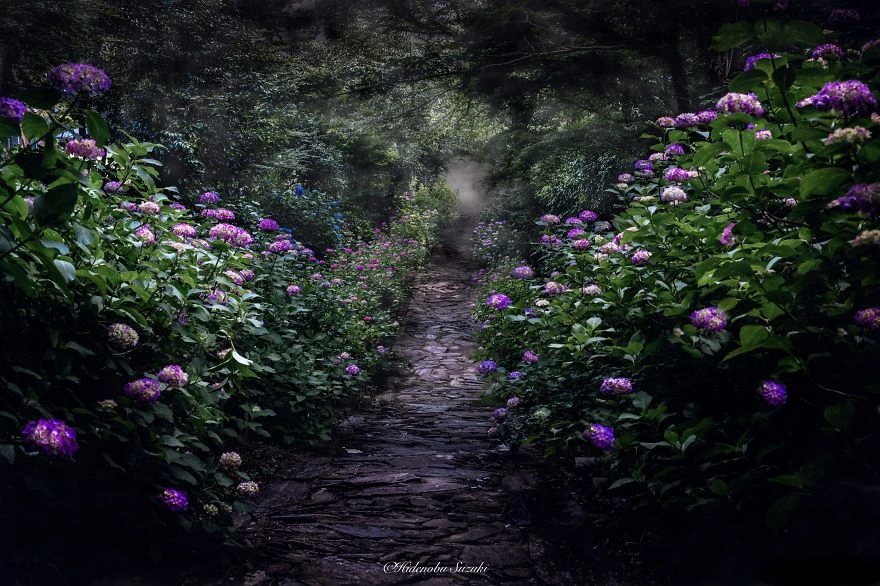 Mùa mưa Nhật bản đẹp tựa tranh vẽ