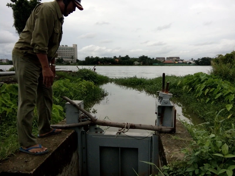  Đếm không xuể hư hỏng ở đê bao sông Sài Gòn ảnh 1