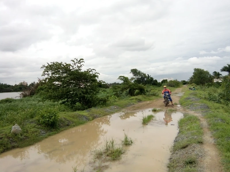  Đếm không xuể hư hỏng ở đê bao sông Sài Gòn ảnh 3