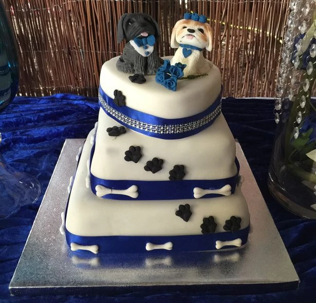 Chiếc bánh cưới 3 tầng được làm từ thức ăn cho cún