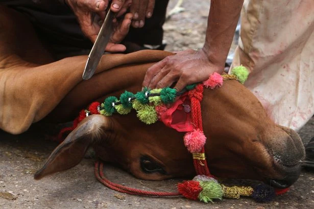Xuất hiện dòng sông máu tại thủ đô Bangladesh ảnh 7