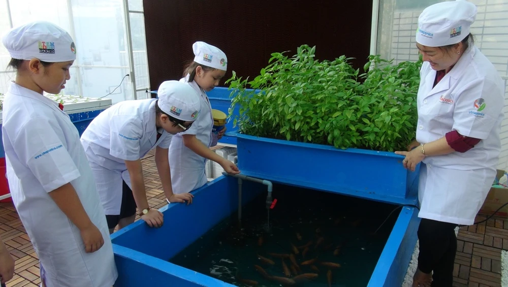 Ngắm vườn rau xanh mướt của học sinh tiểu học ảnh 5