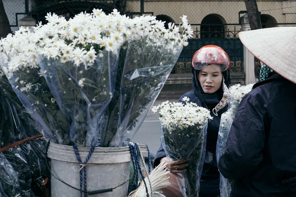 Dù có bán nhiều loại hoa cùng lúc, thì những ngày này cúc hoạ mi vẫn là loại hoa “đắt hàng “ nhất Hà Nội.