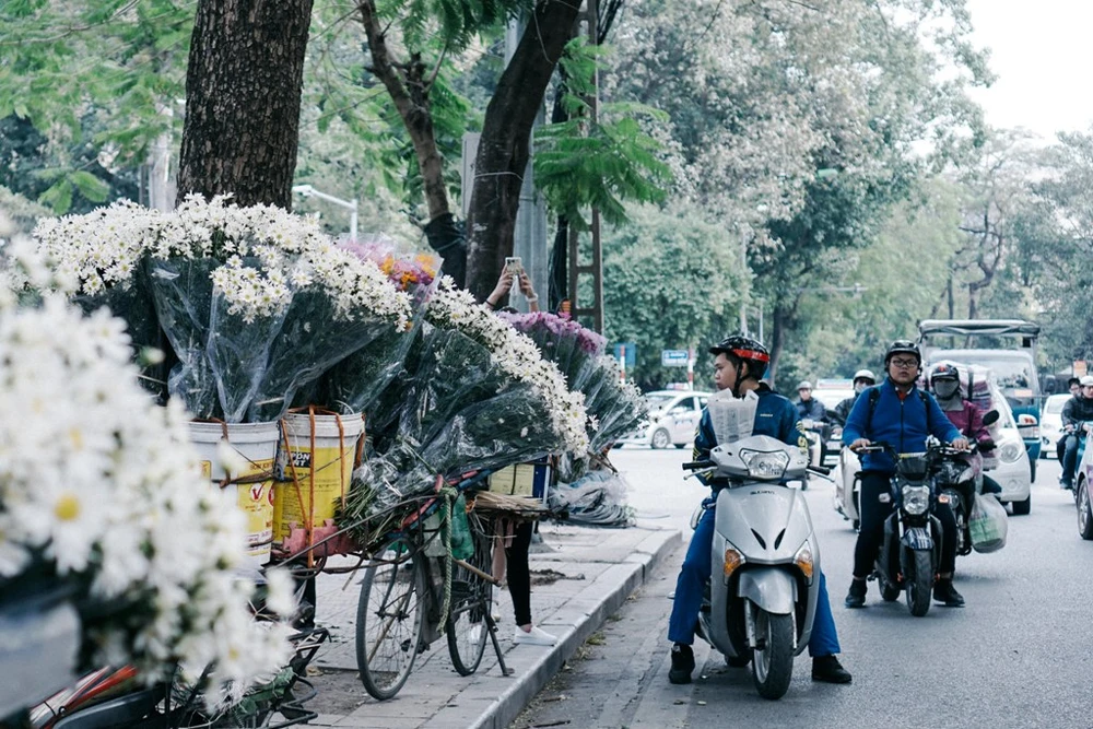 Rất nhiều người thích thú với loài hoa này