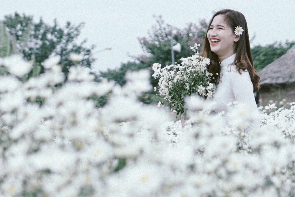 Hình ảnh thiếu nữ mặc áo dài bên cúc hoạ mi thật đẹp và trong trẻo