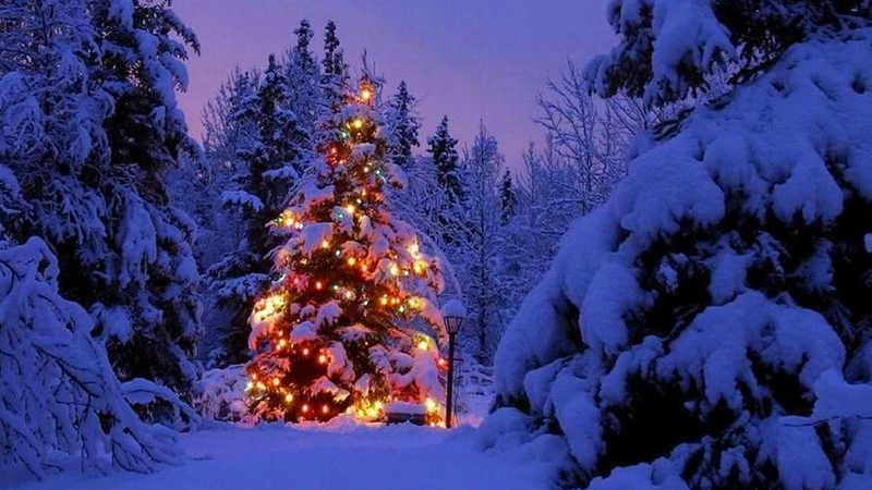 Giáng sinh ở quê hương ông già Noel ra sao? ảnh 3