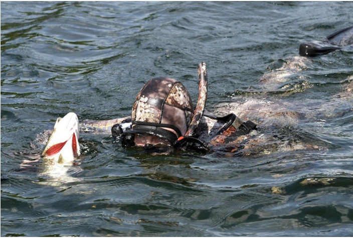 Ông Putin cởi trần câu cá, hái nấm trong kỳ nghỉ ảnh 5