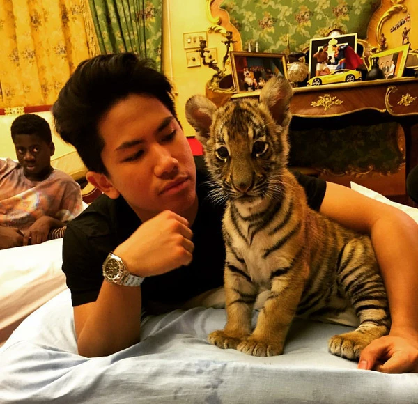 Choáng với độ xa hoa của hoàng tử 9X Brunei ảnh 4