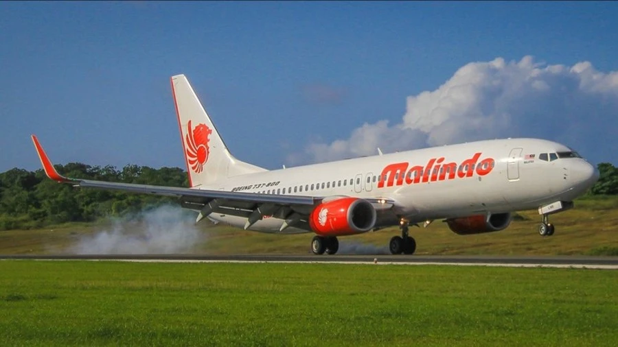 Khỏa thân làm bậy trên máy bay nên bị trói gô ảnh 1