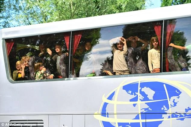 Sư tử sổng chuồng, khách tham quan tán loạn tìm nơi trốn ảnh 1