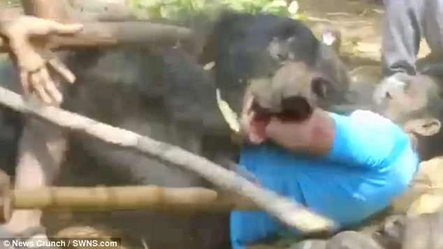 Kinh hoàng gấu hoang về làng vồ chết 2 vợ chồng ảnh 2