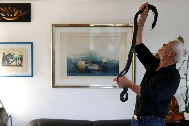 Choáng với người đàn ông sống chung với 400 loài bò sát ảnh 3