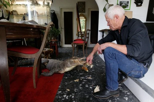 Choáng với người đàn ông sống chung với 400 loài bò sát ảnh 7