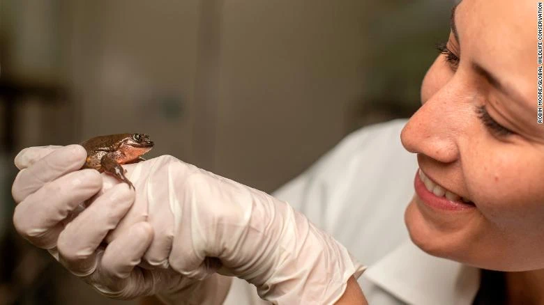 Chú ếch cô đơn 10 năm cuối cùng đã có bạn tình ảnh 2