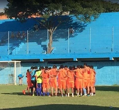 Kỳ lạ cây mọc lên giữa khán đài sân vận động ảnh 2