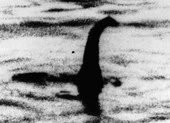 Quái vật hồ Loch Ness là một con lươn khổng lồ?